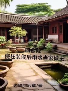 四合院傻柱坐拥百万良田