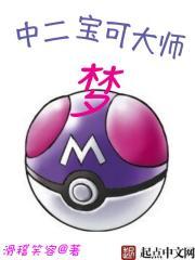 中二宝可大师梦扫书