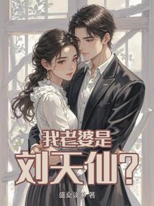 女主角刘天仙的都市