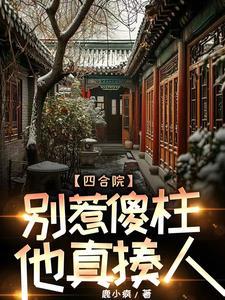 四合院傻柱的崛起最新章节全文免费阅读