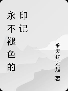 永不褪色的记录